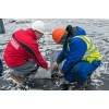 ТЕХНОНИКОЛЬ Онлайн поддержка (695738) в Москве